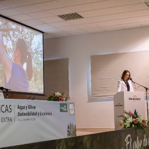 JornadasOleoestepa08