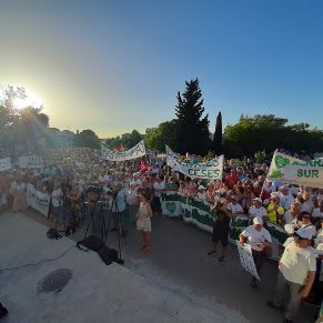 ManifestacionJulio03