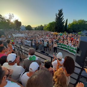 ManifestacionJulio10