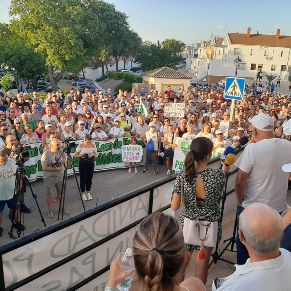 ManifestacionJulio15