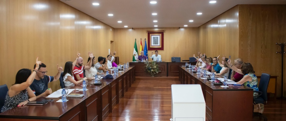 Ordinario25julio-01