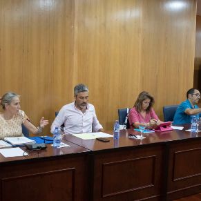 Ordinario25julio-05