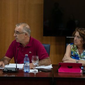 Ordinario25julio-06