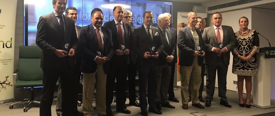 PREMIADOS EXCELENCIA 2017