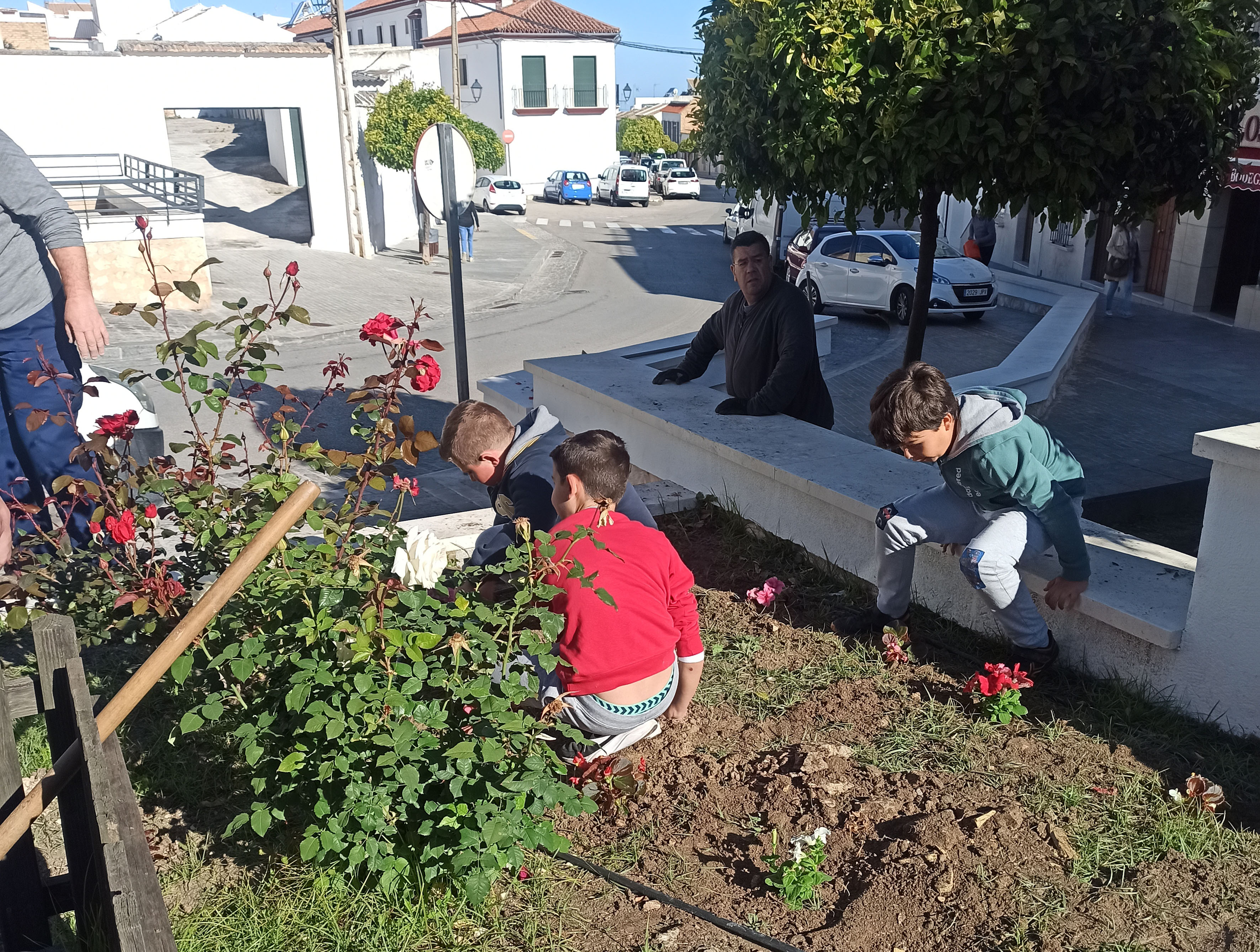 Plantacio¿n09