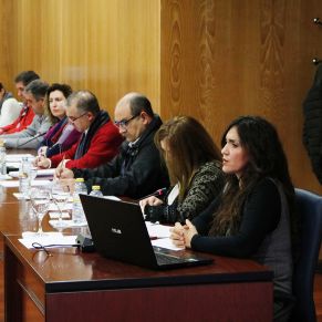 Pleno11