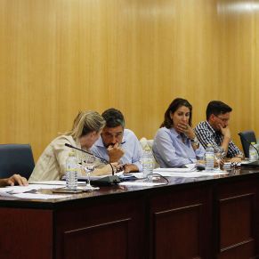 Pleno16