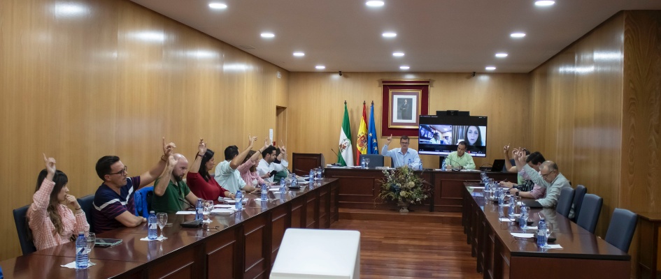 Pleno25Abril01