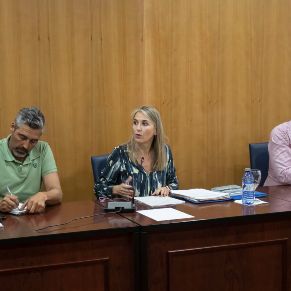 Pleno25Abril05