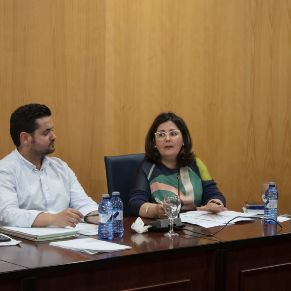 Pleno25Abril06