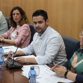 Pleno25Abril07