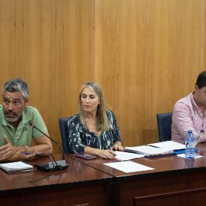 Pleno25Abril08