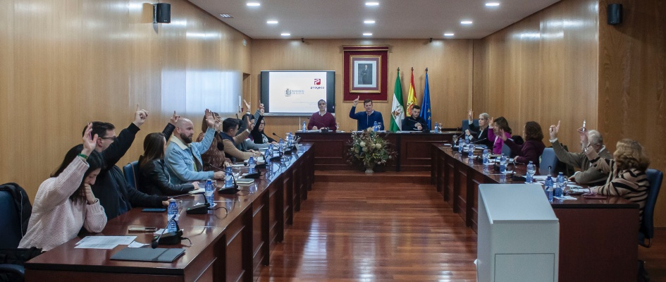 Pleno25Marzo-01