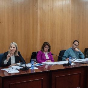 Pleno25Marzo-04