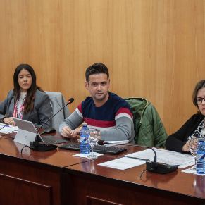 Pleno25Marzo-05
