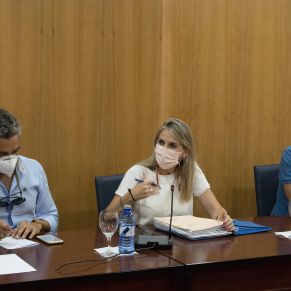 Pleno25Mayo04