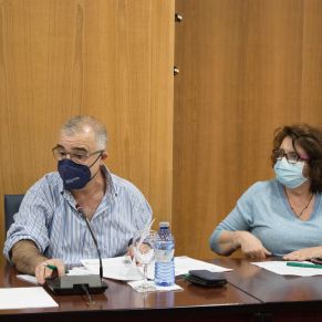 Pleno25Mayo05