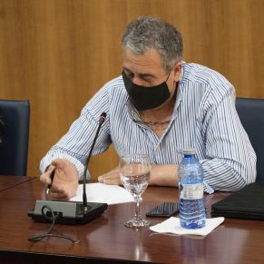 Pleno25Mayo07