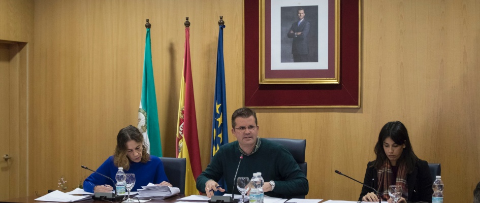 Pleno26D-02