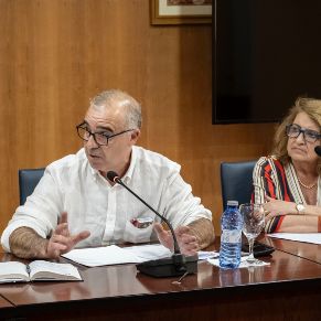 Pleno27Mayo2025-03