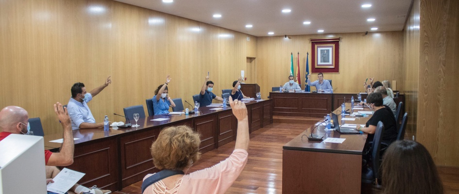 Pleno28J-01
