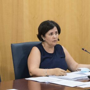 Pleno28J-04