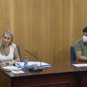 Pleno28J-05
