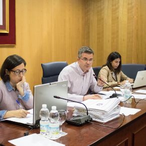 Pleno29oct07