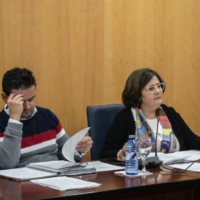 Pleno31Oct-05