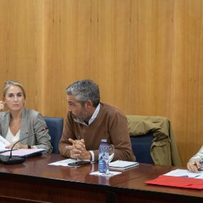 Pleno31Oct-06
