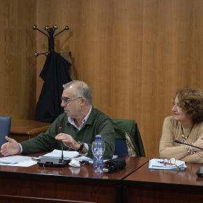 Pleno31oct-03
