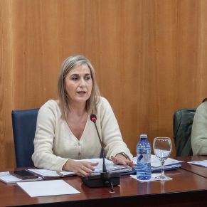 PlenoOrdinario29Abril-04