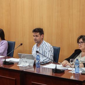 PlenoOrdinario29Abril-05