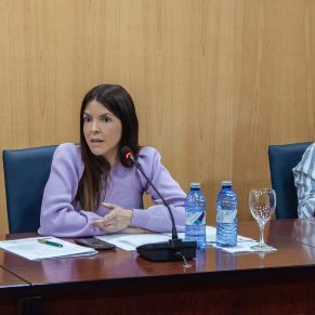 PlenoOrdinario29Abril-06