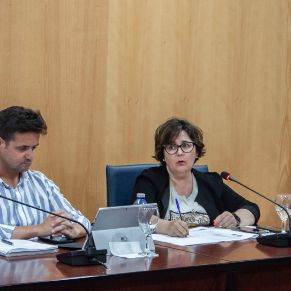 PlenoOrdinario29Abril-08