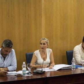 Presupuestos06