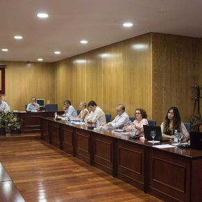 Presupuestos08