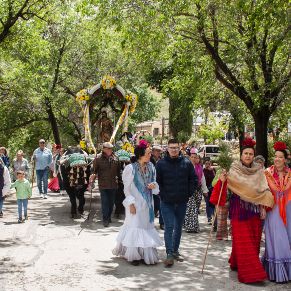 Romeria2024-26