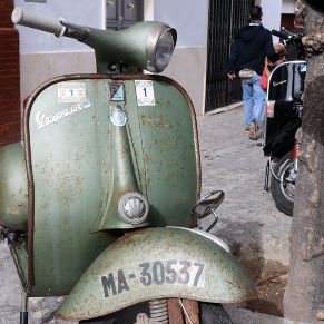 Vespa22